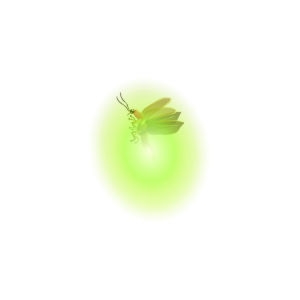 Green Firefly